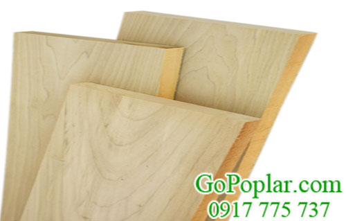 gỗ bạch dương (gỗ poplar) xẻ sấy nhập khẩu