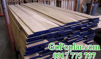 gỗ bạch dương nguyên kiện nhập khẩu