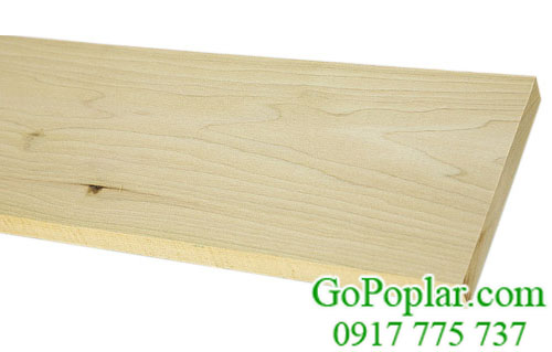 gỗ bạch dương (poplar) xẻ sấy thanh