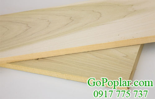 gỗ poplar có mặt gỗ mịn