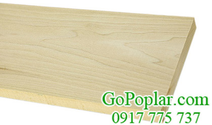 gỗ poplar xẻ sấy
