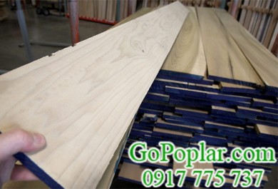 An toàn và chất lượng cùng gỗ bạch dương (gỗ poplar) nhập khẩu