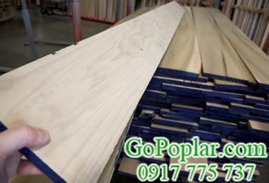 Dễ thao tác, gỗ Poplar xẻ tiết kiệm chi phí cho người dùng