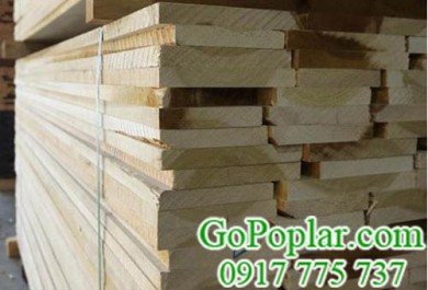 Giá bán gỗ Bạch Dương (gỗ Poplar) 2020 vừa cập nhật, xem ngay!