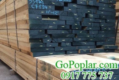 Giá gỗ Bạch Dương (gỗ Poplar) bao nhiêu mới chất lượng?