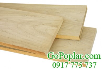 Gỗ bạch dương (gỗ poplar) nhập khẩu được phân 2 loại: gỗ cứng và gỗ mềm