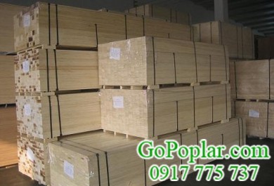 Gỗ bạch dương (gỗ poplar) nhập khẩu là một loại gỗ cứng linh hoạt