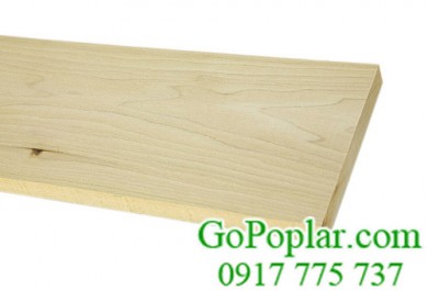 Gỗ bạch dương (gỗ Poplar) nhập khẩu nổi tiếng với việc sơn tốt