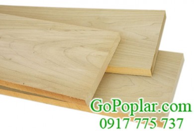 Tìm hiểu về gỗ bạch dương nguyên liệu