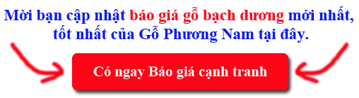 báo giá gỗ bạch dương