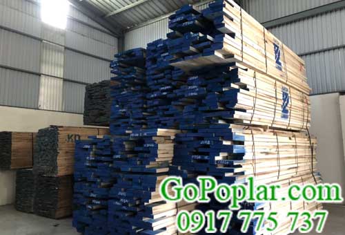 Gỗ dương (poplar) nhập khẩu giá rẻ