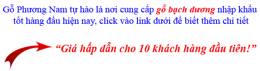 giá gỗ bạch dương nguyên liệu nhập khẩu