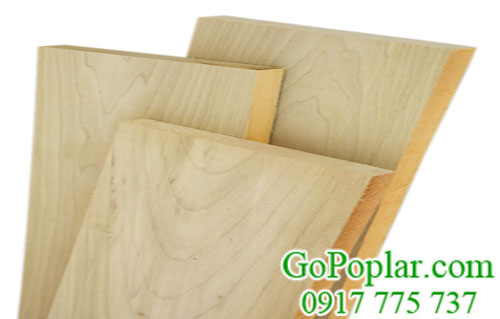 gỗ bạch dương (gỗ poplar)