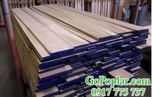 gỗ bạch dương (gỗ poplar) nhập khẩu