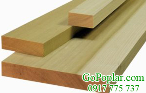 gỗ bạch dương (gỗ poplar) xẻ sấy nhập khẩu