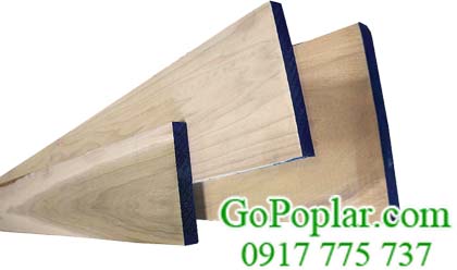 gỗ bạch dương (gỗ poplar) nhập khẩu