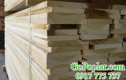 kiện gỗ bạch dương (gỗ poplar) nhập khẩu