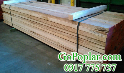 quy-cach-go-bach-duong-go-poplar